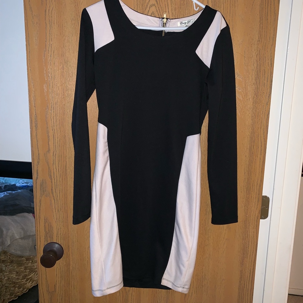 Cute Long sleeve fitted dress